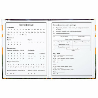 Дневник 1-4 класс 'Футбол' 48 листов, твердый, Юнландия 8