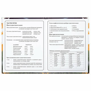 Дневник 1-4 класс 'Футбол' 48 листов, твердый, Юнландия 10