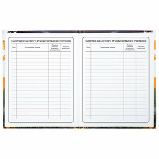 Дневник 1-4 класс 'Футбол' 48 листов, твердый, Юнландия 15