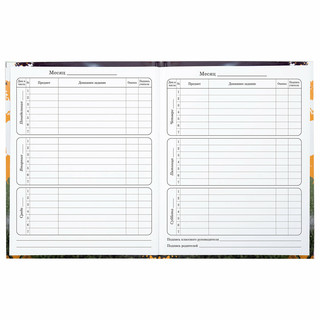 Дневник 1-4 класс 'Футбол' 48 листов, твердый, Юнландия 16