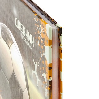 Дневник 1-4 класс 'Футбол' 48 листов, твердый, Юнландия 21