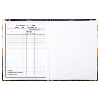 Дневник 1-4 класс 'Футбол' 48 листов, твердый, Юнландия 28