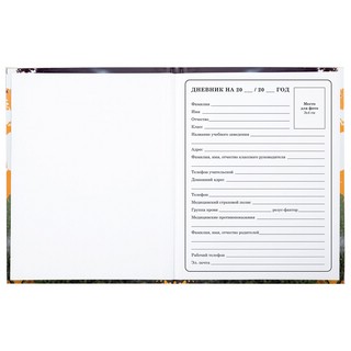 Дневник 1-4 класс 'Футбол' 48 листов, твердый, Юнландия 22