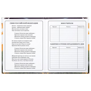 Дневник 1-4 класс 'Футбол' 48 листов, твердый, Юнландия 23