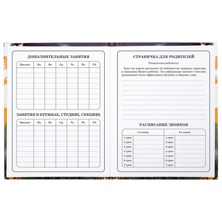 Дневник 1-4 класс 'Футбол' 48 листов, твердый, Юнландия 24