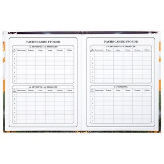 Дневник 1-4 класс 'Футбол' 48 листов, твердый, Юнландия 25