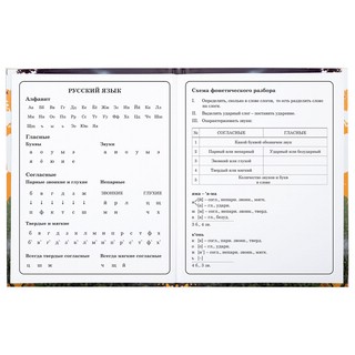 Дневник 1-4 класс 'Футбол' 48 листов, твердый, Юнландия 26