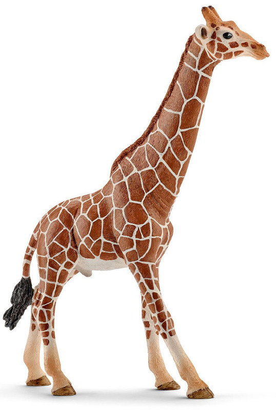 Schleich Фигурка Жираф самец 14749
