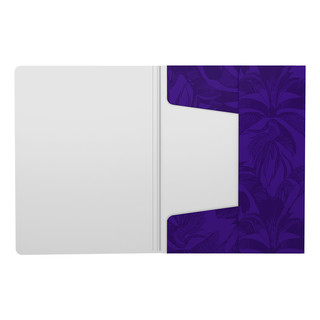 Папка для тетрадей на резинках, А4, пластик, ErichKrause Tropical 2