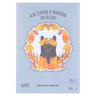 Планшет для эскизов и зарисовок А5, 40 листов, 'Времена кошек...