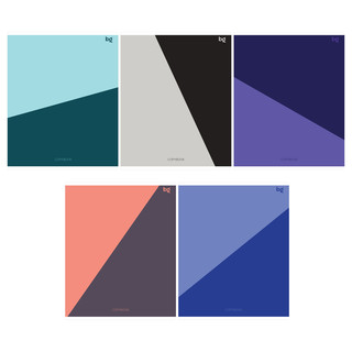 Тетрадь А5, 48 листов, линия BG 'Medium', ассорти. Цена за 1 шт.