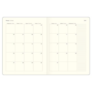 Еженедельник-планер датированный 2025 Infolio Snake (Змея) А4, 88 листов, твердая обложка из экозамши, зеленый 4