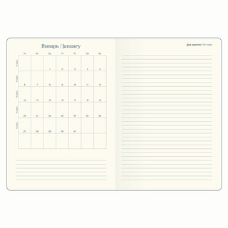 Датированный ежедневник планер 2025 Infolio 'Snake' (змея), А5 на 176 листов, твердая обложка из экозамши, бежевый 10