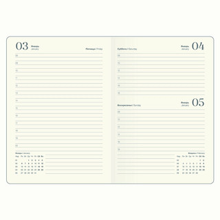 Датированный ежедневник планер 2025 Infolio 'Lucky Змея', А5 на 176 листов, мягкая обложка из экокожи, зеленый 13