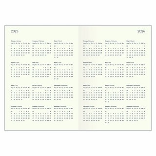 Ежедневник планер датированный 2025 Infolio 'Desire', А5 на 176 листов, мягкая обложка из экокожи, фиолетовый 10