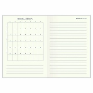 Ежедневник планер датированный 2025 Infolio 'Desire', А5 на 176 листов, мягкая обложка из экокожи, фиолетовый 12