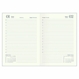 Ежедневник планер датированный 2025 Infolio 'Desire', А5 на 176 листов, мягкая обложка из экокожи, фиолетовый 13