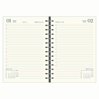 Датированный ежедневник планер 2025 на кольцах Infolio 'Universe', А5 на 160 листов, мягкая обложка из экокожи, белый 10