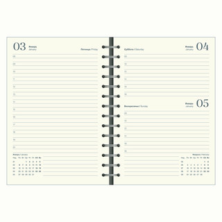 Датированный ежедневник планер 2025 на кольцах Infolio 'Snake' (змея), А5 на 160 листов, мягкая обложка из экозамши, зеленый 10