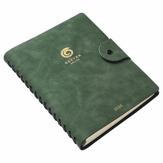 Датированный ежедневник планер 2025 на кольцах Infolio 'Snake' (змея), А5 на 160 листов, мягкая обложка из экозамши, зеленый 2