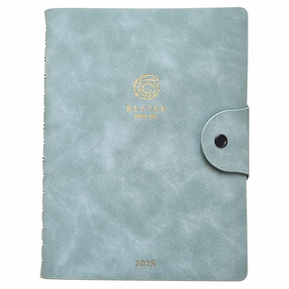 Датированный ежедневник планер 2025 на кольцах Infolio 'Snake...