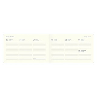 Датированный еженедельник планер 2025 Infolio 'Snake' (змея), А6, 64 листа, экозамша, голубой 7