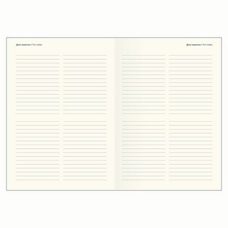 Датированный ежедневник планер 2025 Infolio '365days', А5 на 176 листов, мягкая обложка из экозамши, серый 7