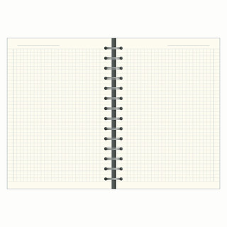 Бизнес-тетрадь А5, 96 листов, клетка, Infolio 'Diary', мягкий переплет, голубой 4