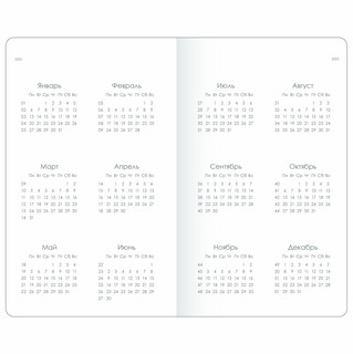 Планер датированный 2025 beSmart 'Snake' (змея) А5, мятный 6