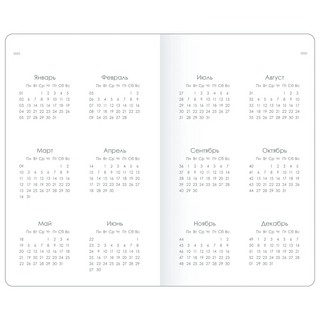 Планер датированный 2025 beSmart 'Snake' (змея) А6, белый 7