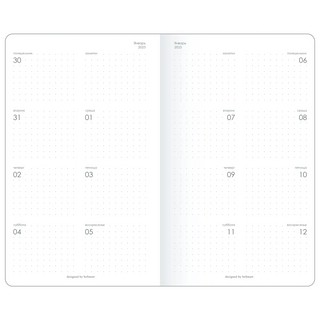 Планер датированный 2025 beSmart 'Snake' (змея) А6, белый 8