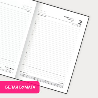 Ежедневник датированный 2025, А5, STAFF Гранаты 12