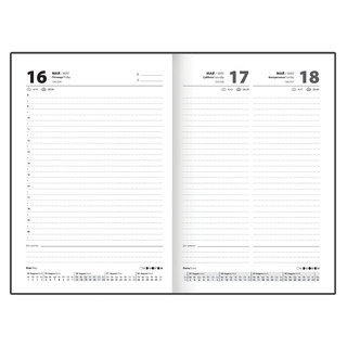 Ежедневник датированный 2025, А5, STAFF Гранаты 7