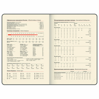 Ежедневник датированный 2025, А5, Brauberg Pastel, под кожу, гибкий, синий 12