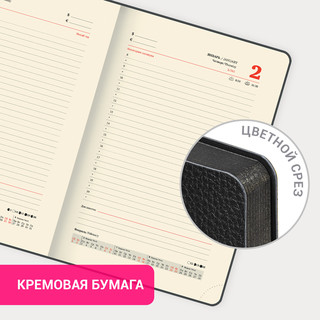 Ежедневник датированный 2025, А5, Brauberg Stylish, под кожу гибкий, черный 19
