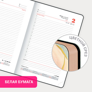 Ежедневник датированный 2025, А5, Brauberg Vista, под кожу, гибкий, Нежность 18