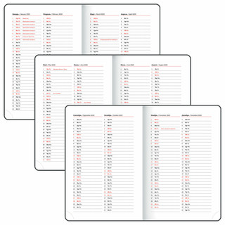 Ежедневник датированный 2025, А5, Brauberg Vista, под кожу, гибкий, Нежность 7