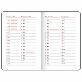 Ежедневник датированный 2025, А5, Brauberg Vista, под кожу, гибкий, Нежность 8