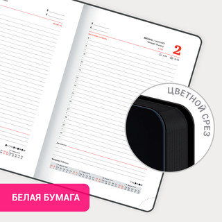 Ежедневник датированный 2025, А5, Brauberg Vista, под кожу, гибкий, Символ года 18