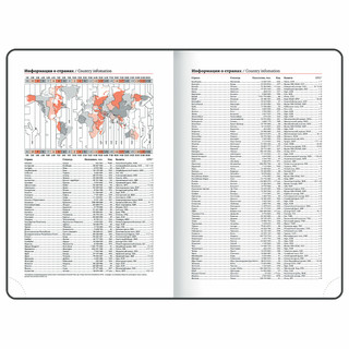 Ежедневник датированный 2025, А5, Brauberg Vista, под кожу, твердый, Blur 12