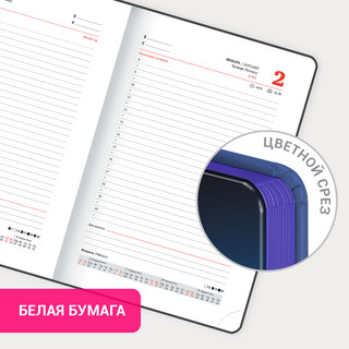 Ежедневник датированный 2025, А5, Brauberg Vista, под кожу, твердый, Blur 18