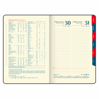 Ежедневник датированный 2025, А5, Galant Infinity Gold, под кожу, темно-синий 13