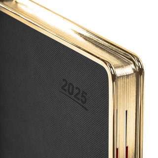 Ежедневник датированный 2025, А5, Galant Infinity Gold, под кожу, черный 4