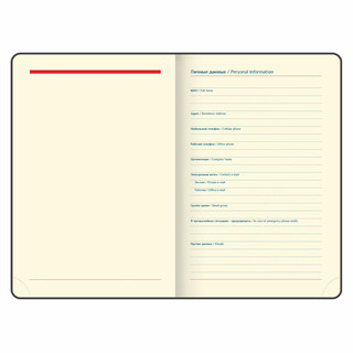 Ежедневник датированный 2025, А5, Galant Infinity Gold, под кожу, черный 5