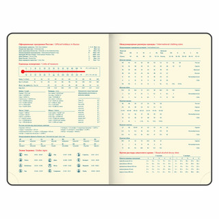 Ежедневник датированный 2025, А5, Galant Infinity Silver, под кожу, серый 12