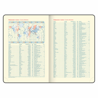 Ежедневник датированный 2025, А5, Galant Infinity Silver, под кожу, серый 13