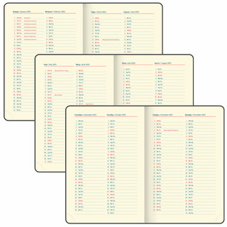 Ежедневник датированный 2025, А5, Galant Infinity Silver, под кожу, серый 9