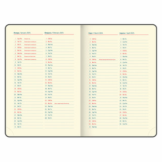 Ежедневник датированный 2025, А5, Galant Infinity Silver, под кожу, фиолетовый 8