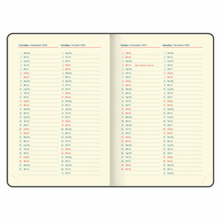 Ежедневник датированный 2025, А5, Galant Infinity Silver, под кожу, черный 11