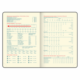 Ежедневник датированный 2025, А5, Galant Magnetic, под кожу, клапан, черный 8